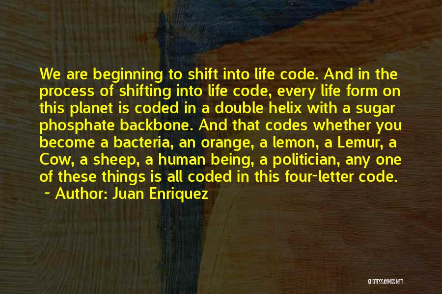 Life Codes Quotes By Juan Enriquez