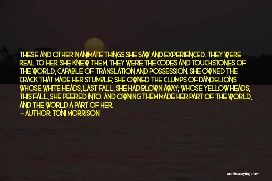 Life Codes Quotes By Toni Morrison Life Codes Quotes By Toni Morrison