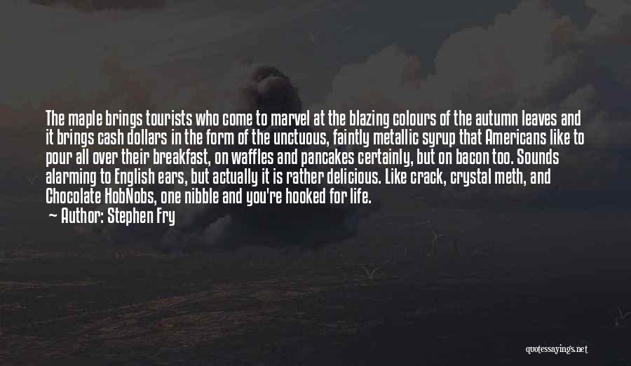 Life Colours Quotes By Stephen Fry