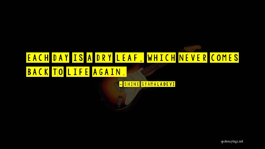 Life Comes Back Quotes By Shine Syamaladevi Life Comes Back Quotes By Shine Syamaladevi