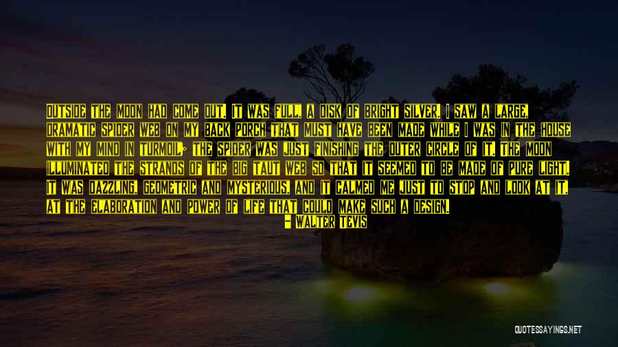 Life Comes Full Circle Quotes By Walter Tevis Life Comes Full Circle Quotes By Walter Tevis