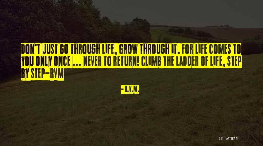 Life Comes Once Quotes By R.v.m. Life Comes Once Quotes By R.v.m.