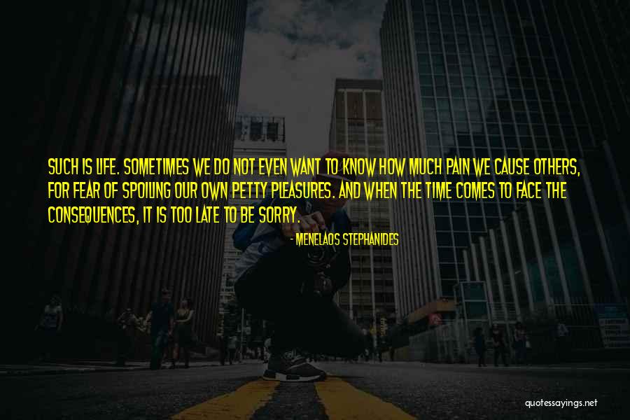 Life Comes Quotes By Menelaos Stephanides