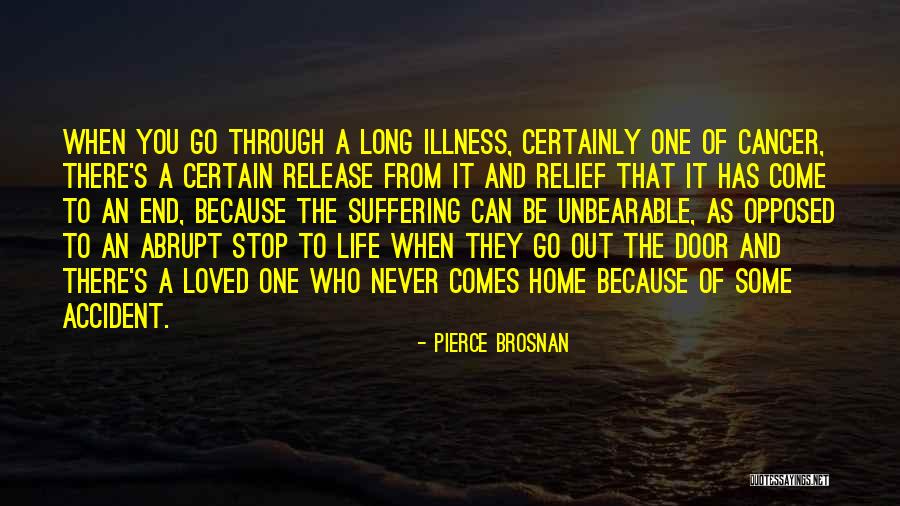 Life Comes To An End Quotes By Pierce Brosnan