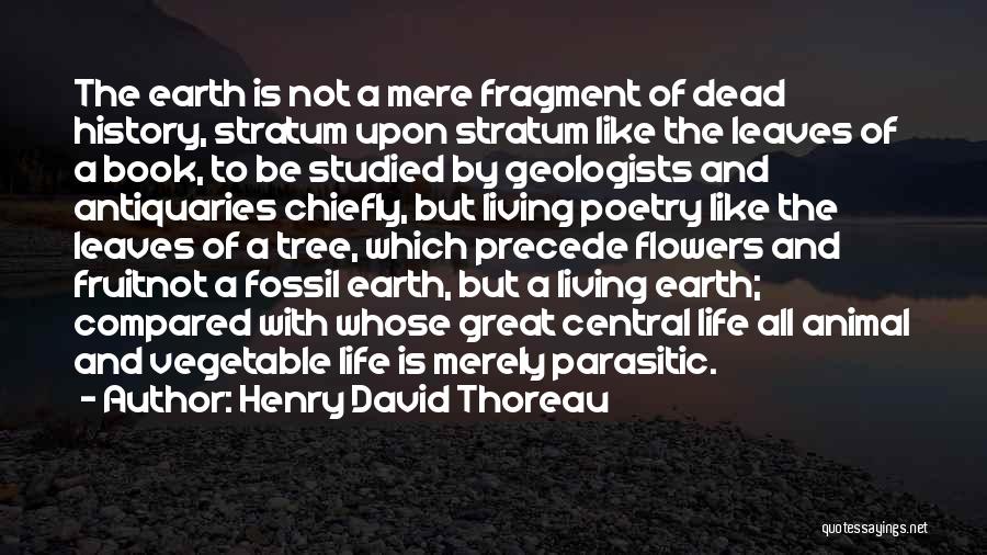 Life Compared To A Tree Quotes By Henry David Thoreau