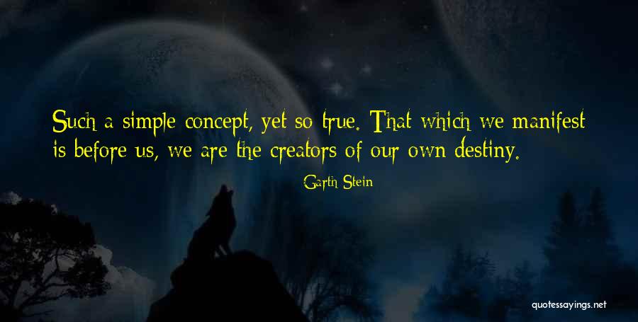 Life Concept Quotes By Garth Stein