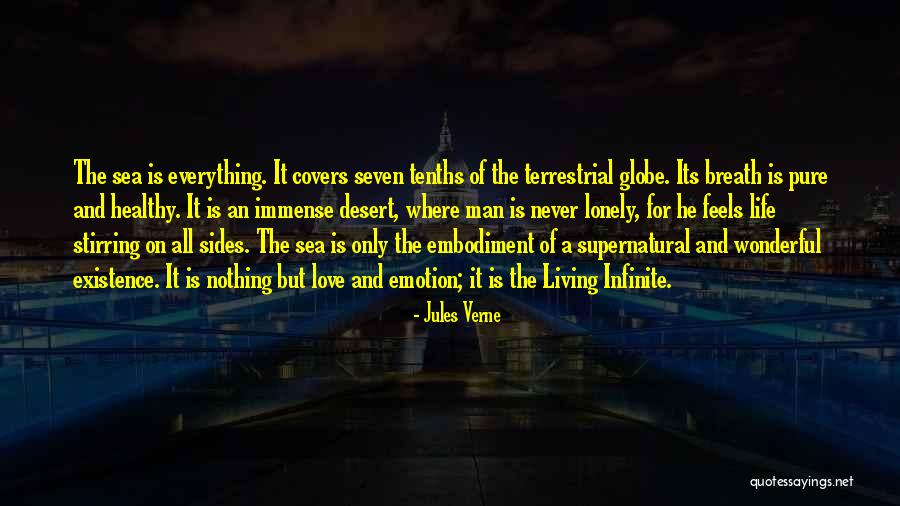 Life Covers Quotes By Jules Verne