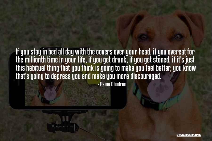 Life Covers Quotes By Pema Chodron