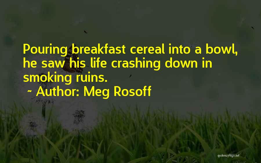 Life Crashing Down On You Quotes By Meg Rosoff