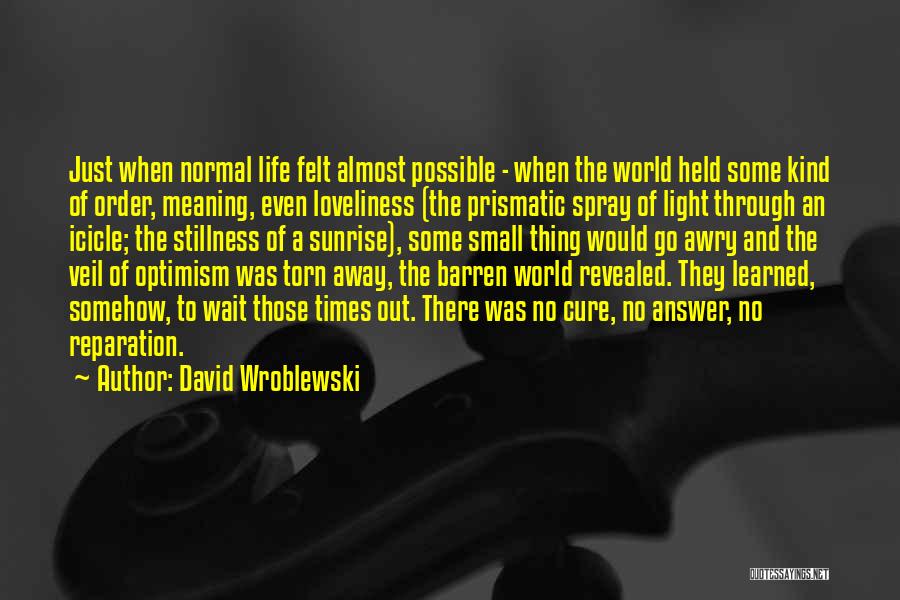 Life Death And Meaning Quotes By David Wroblewski
