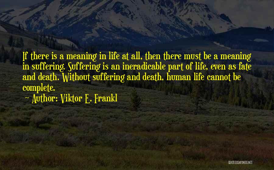 Life Death And Meaning Quotes By Viktor E. Frankl