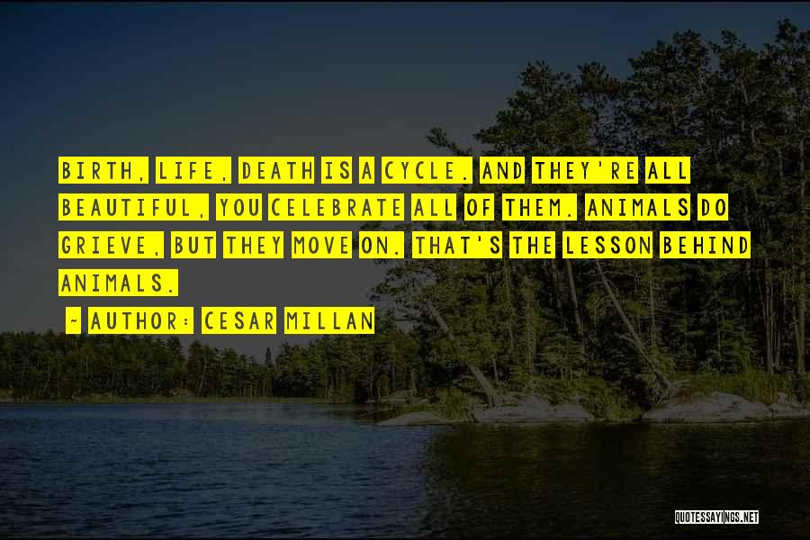 Life Death Cycle Quotes By Cesar Millan