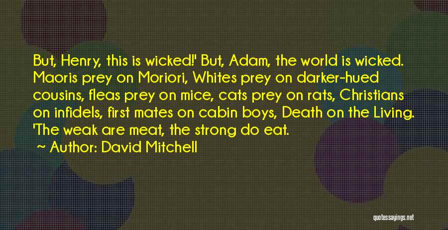 Life Death Cycle Quotes By David Mitchell