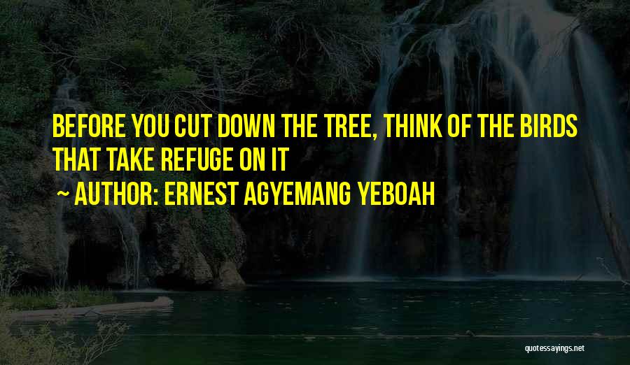 Life Decision Making Quotes By Ernest Agyemang Yeboah