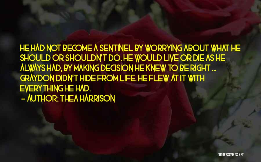 Life Decision Making Quotes By Thea Harrison