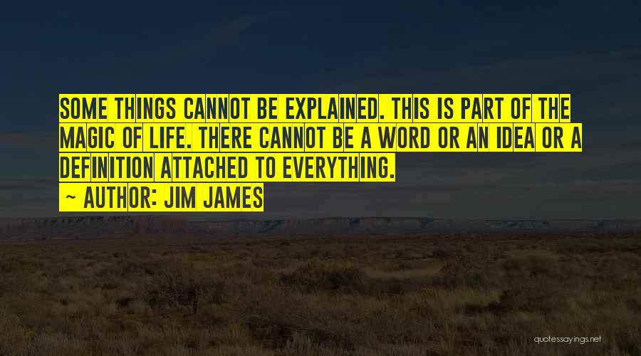 Life Definitions Quotes By Jim James