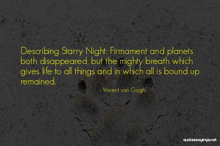 Life Describing Quotes By Vincent Van Gogh