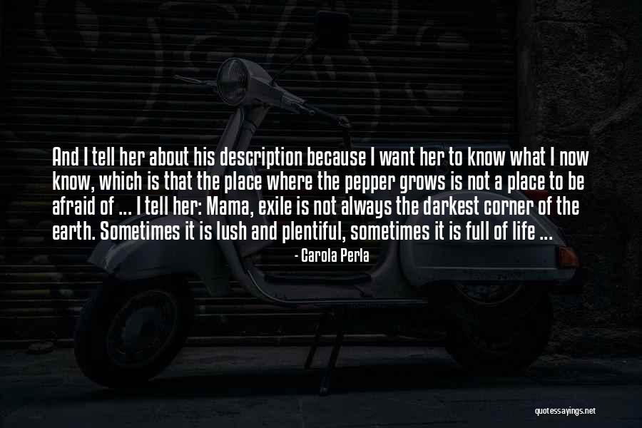 Life Description Quotes By Carola Perla Life Description Quotes By Carola Perla
