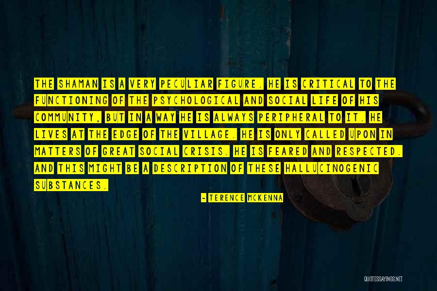 Life Description Quotes By Terence McKenna Life Description Quotes By Terence McKenna