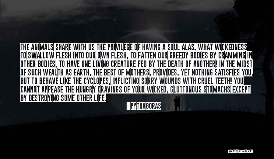 Life Destroying Quotes By Pythagoras Life Destroying Quotes By Pythagoras