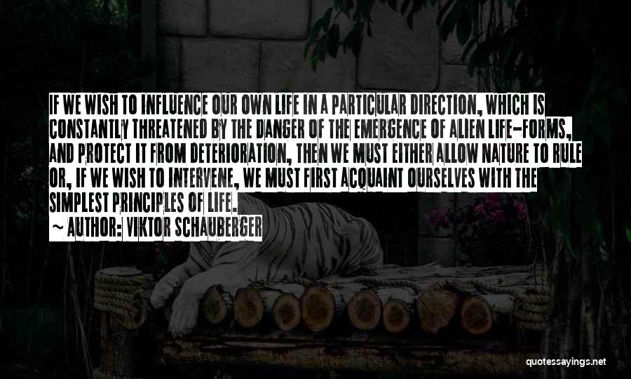 Life Direction Quotes By Viktor Schauberger