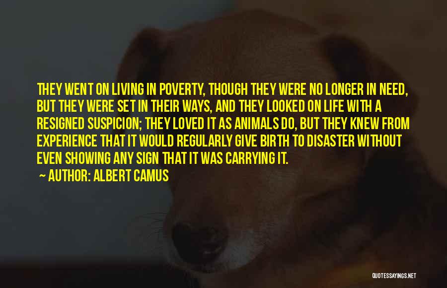 Life Disaster Quotes By Albert Camus