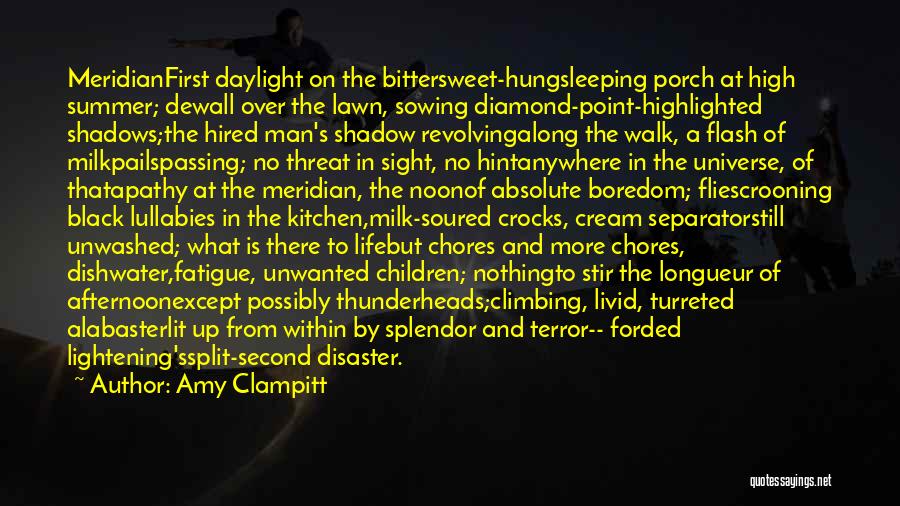 Life Disaster Quotes By Amy Clampitt