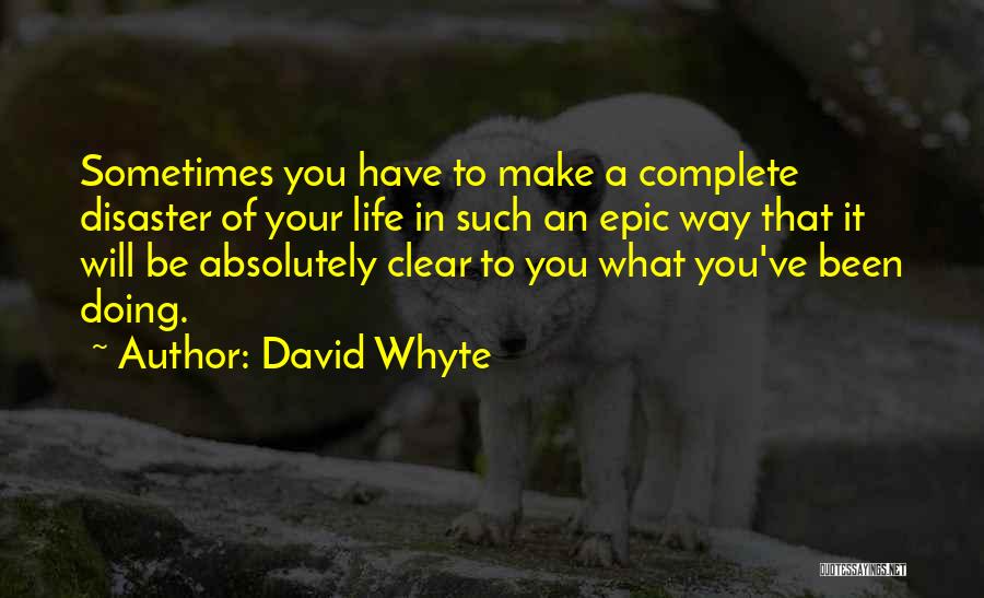 Life Disaster Quotes By David Whyte