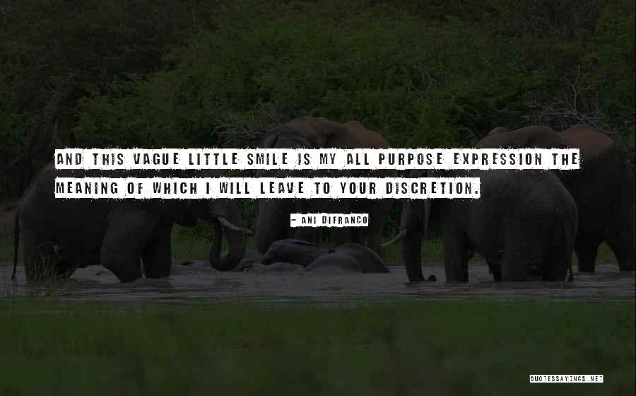 Life Discretion Quotes By Ani DiFranco Life Discretion Quotes By Ani DiFranco