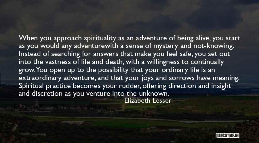 Life Discretion Quotes By Elizabeth Lesser Life Discretion Quotes By Elizabeth Lesser