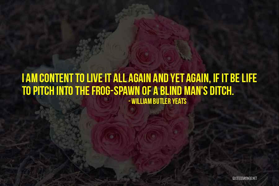 Life Ditch Quotes By William Butler Yeats Life Ditch Quotes By William Butler Yeats