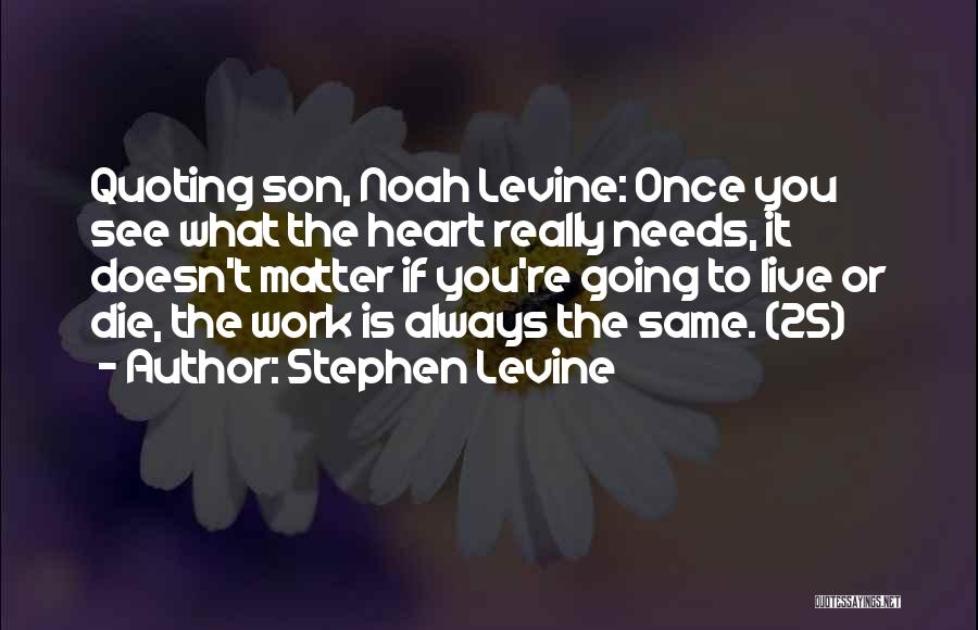 Life Doesn Always Work Out Quotes By Stephen Levine