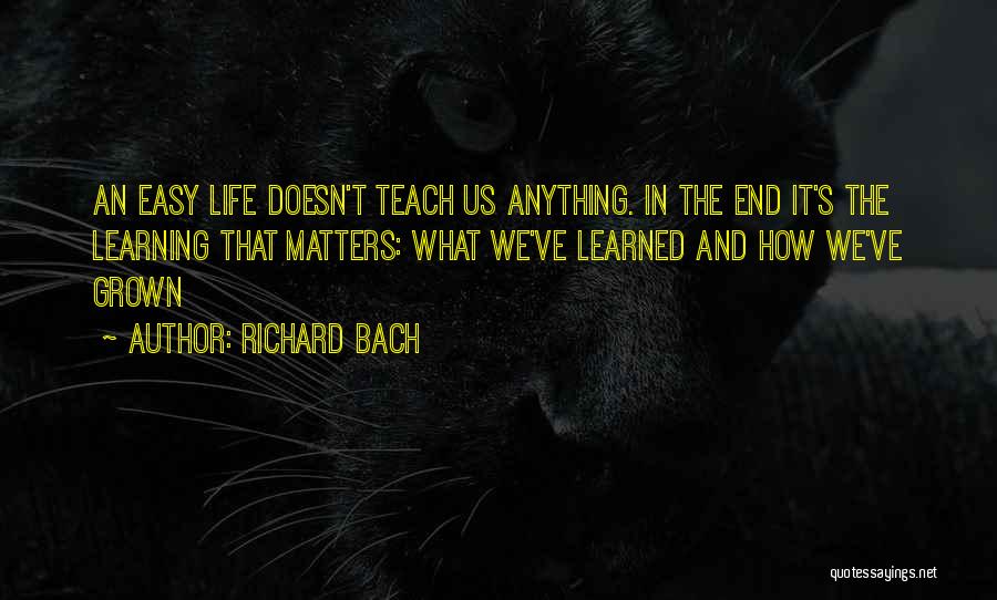 Life Doesn't End Quotes By Richard Bach