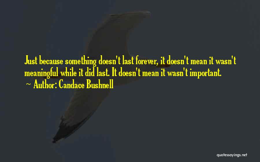 Life Doesn't Last Forever Quotes By Candace Bushnell