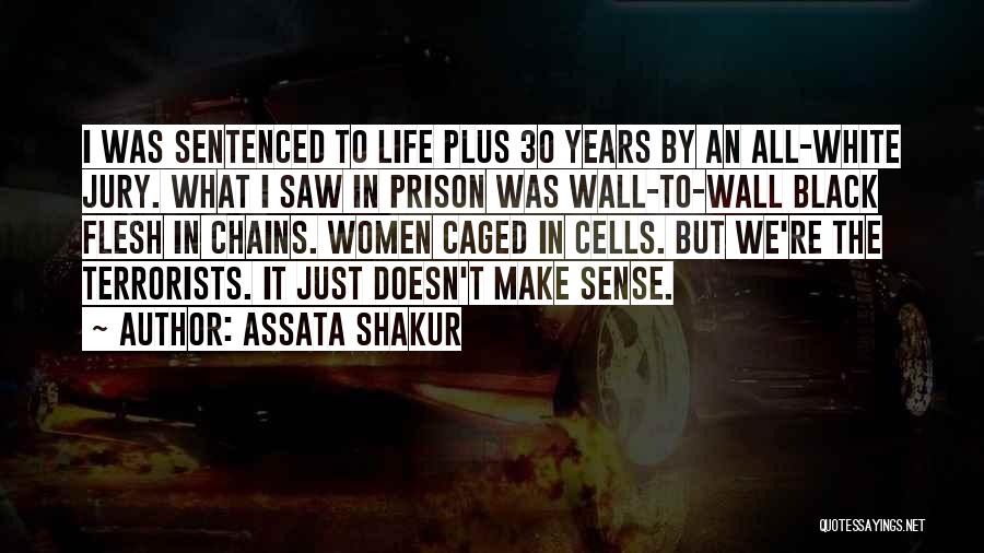 Life Doesn't Make Sense Quotes By Assata Shakur
