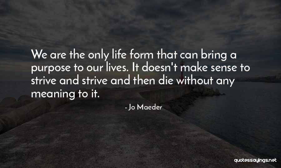 Life Doesn't Make Sense Quotes By Jo Maeder Life Doesn't Make Sense Quotes By Jo Maeder