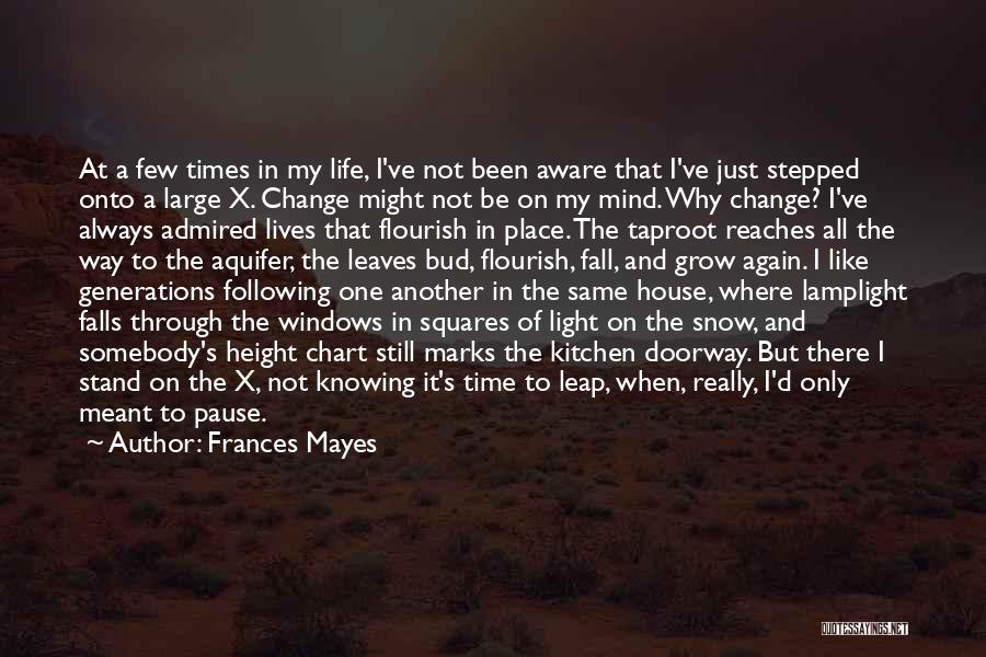 Life Doorway Quotes By Frances Mayes