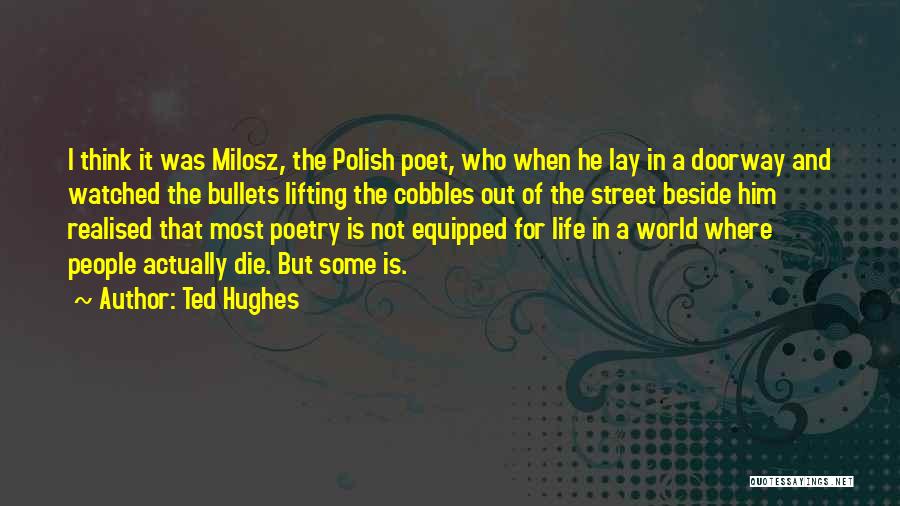 Life Doorway Quotes By Ted Hughes