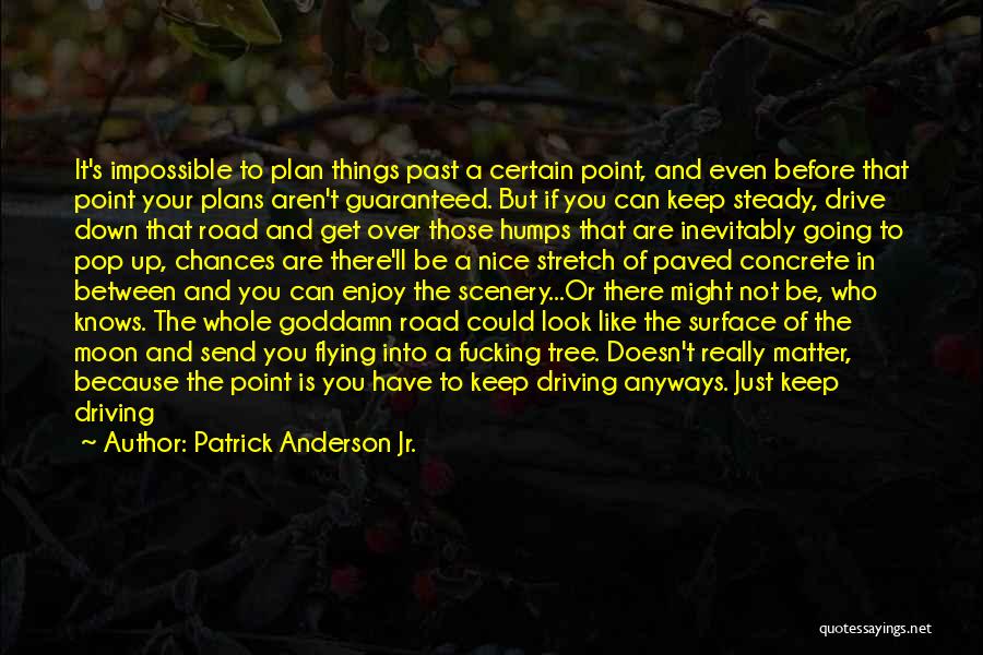 Life Down The Road Quotes By Patrick Anderson Jr.
