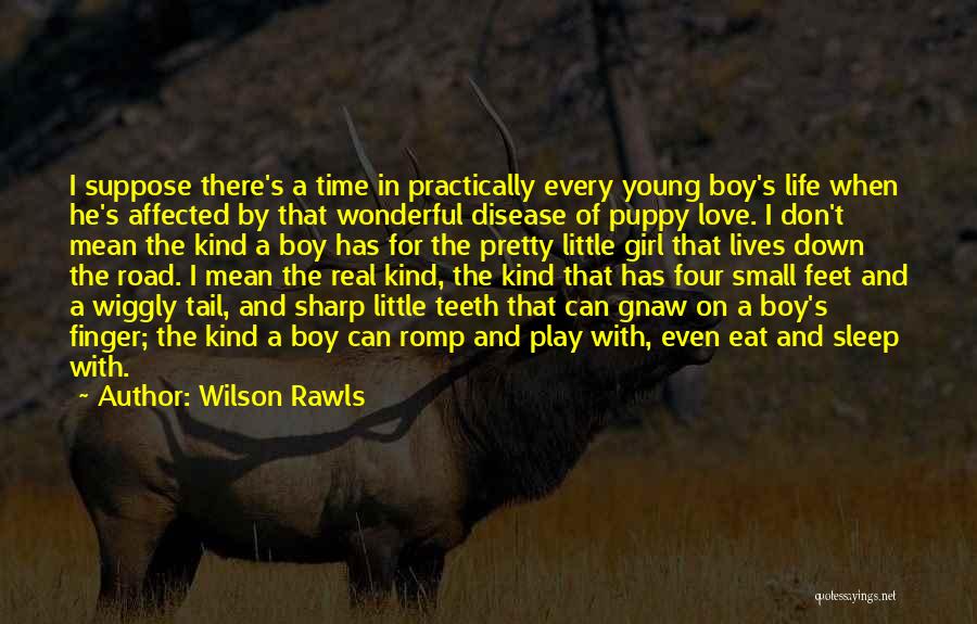 Life Down The Road Quotes By Wilson Rawls