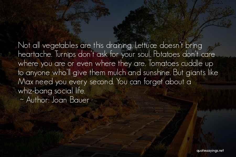 Life Draining Quotes By Joan Bauer