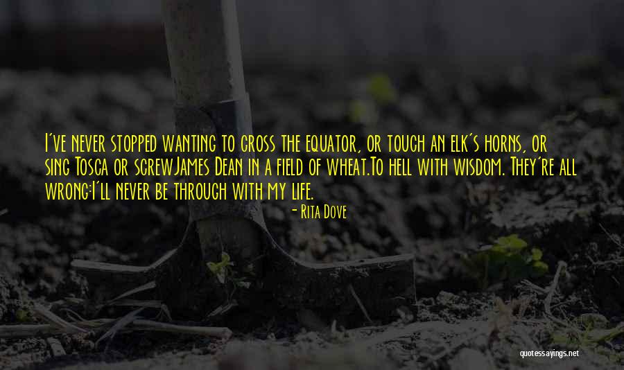 Life Dreams Goals Quotes By Rita Dove Life Dreams Goals Quotes By Rita Dove
