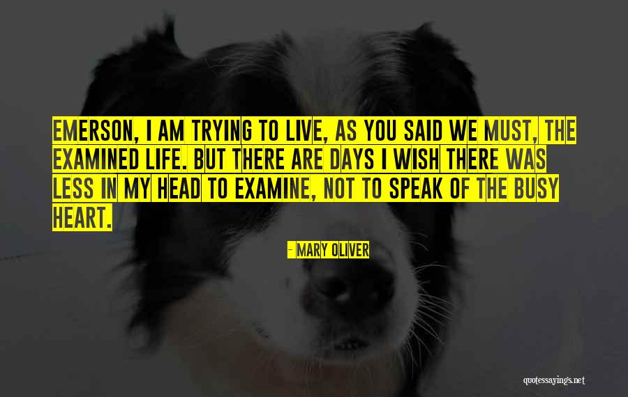 Life Emerson Quotes By Mary Oliver Life Emerson Quotes By Mary Oliver
