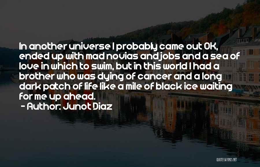 Life Ended Quotes By Junot Diaz