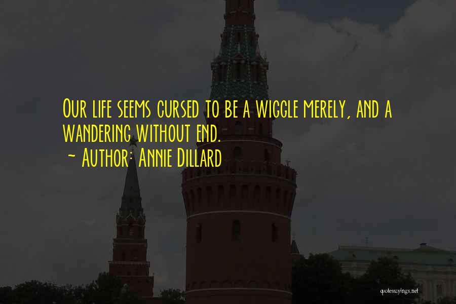 Life Ends Quotes By Annie Dillard