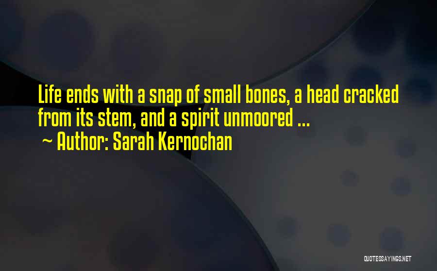 Life Ends Quotes By Sarah Kernochan