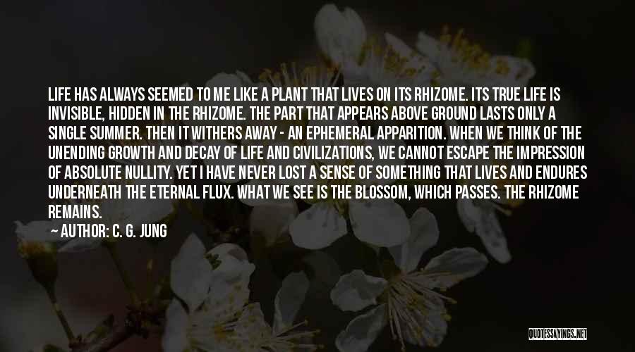 Life Endures Quotes By C. G. Jung