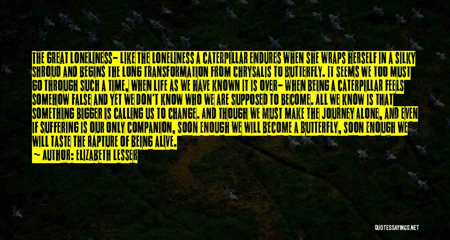 Life Endures Quotes By Elizabeth Lesser