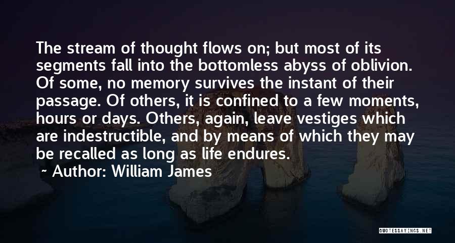 Life Endures Quotes By William James