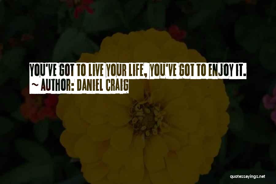 Life Enjoy Your Life Quotes By Daniel Craig